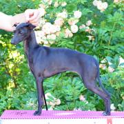 Dsc 0681 bis