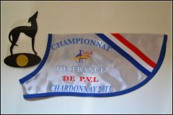 chardonnay-champ-fr-2013-002.jpg