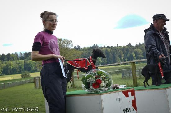 coursing-schweizermeisterschaft-lotzwil-02-06-2013-28.jpg